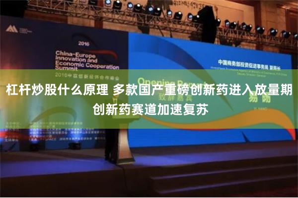 杠杆炒股什么原理 多款国产重磅创新药进入放量期 创新药赛道加速复苏
