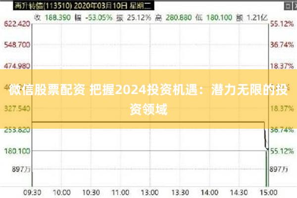 微信股票配资 把握2024投资机遇：潜力无限的投资领域