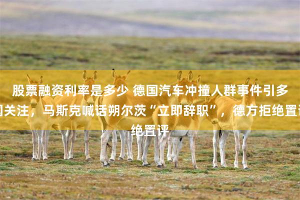 股票融资利率是多少 德国汽车冲撞人群事件引多国关注，马斯克喊话朔尔茨“立即辞职”，德方拒绝置评