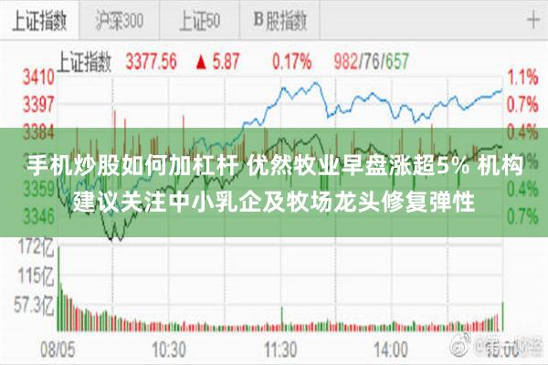 手机炒股如何加杠杆 优然牧业早盘涨超5% 机构建议关注中小乳企及牧场龙头修复弹性