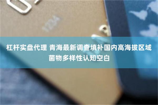 杠杆实盘代理 青海最新调查填补国内高海拔区域菌物多样性认知空白