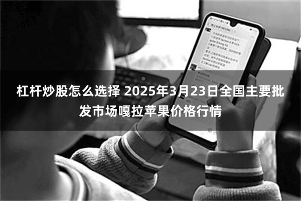 杠杆炒股怎么选择 2025年3月23日全国主要批发市场嘎拉苹果价格行情