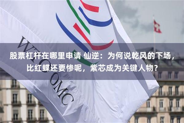 股票杠杆在哪里申请 仙逆：为何说乾风的下场，比红蝶还要惨呢，紫芯成为关键人物？