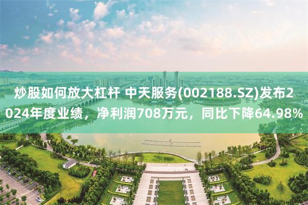 炒股如何放大杠杆 中天服务(002188.SZ)发布2024年度业绩，净利润708万元，同比下降64.98%