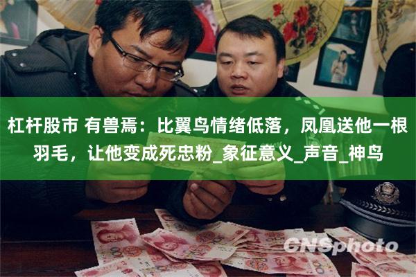 杠杆股市 有兽焉：比翼鸟情绪低落，凤凰送他一根羽毛，让他变成死忠粉_象征意义_声音_神鸟