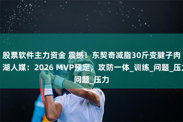 股票软件主力资金 震撼！东契奇减脂30斤变腱子肉，湖人媒：2026 MVP预定，攻防一体_训练_问题_压力