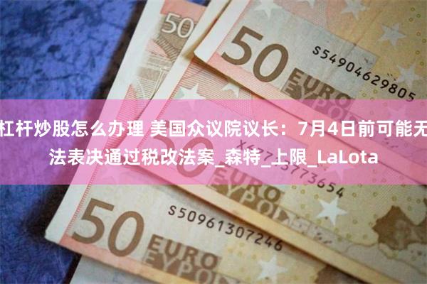 杠杆炒股怎么办理 美国众议院议长：7月4日前可能无法表决通过税改法案_森特_上限_LaLota