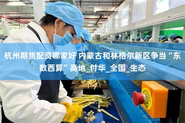 杭州期货配资哪家好 内蒙古和林格尔新区争当“东数西算”高地_付华_全国_生态