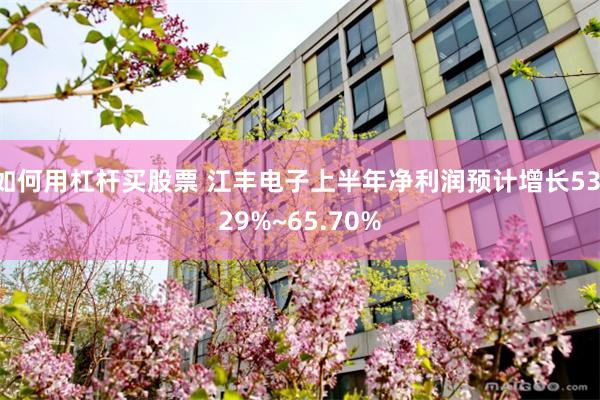 如何用杠杆买股票 江丰电子上半年净利润预计增长53.29%~65.70%