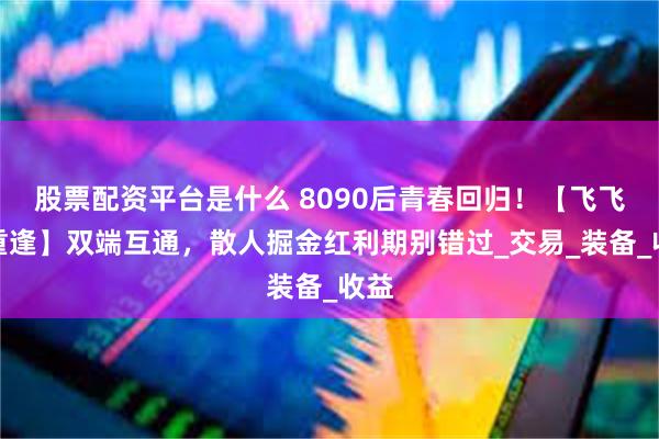 股票配资平台是什么 8090后青春回归！【飞飞：重逢】双端互通，散人掘金红利期别错过_交易_装备_收益