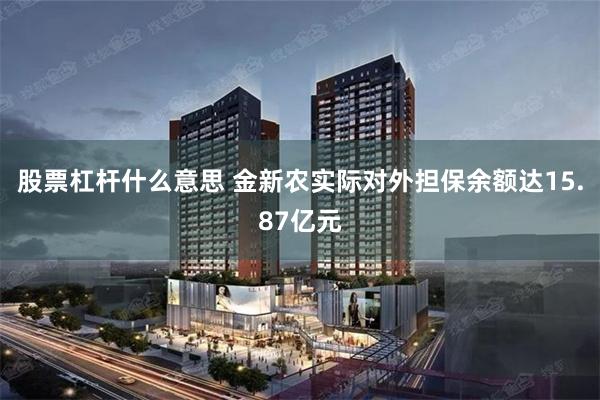股票杠杆什么意思 金新农实际对外担保余额达15.87亿元