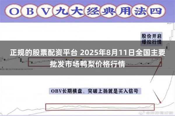 正规的股票配资平台 2025年8月11日全国主要批发市场鸭梨价格行情