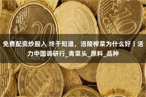 免费配资炒股入 终于知道，涪陵榨菜为什么好丨活力中国调研行_青菜头_原料_品种