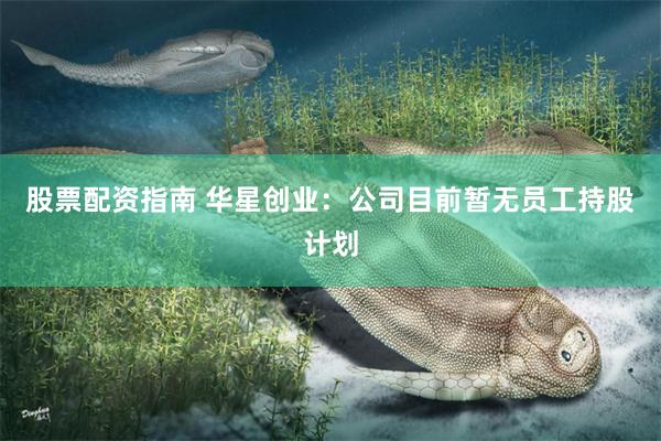股票配资指南 华星创业：公司目前暂无员工持股计划