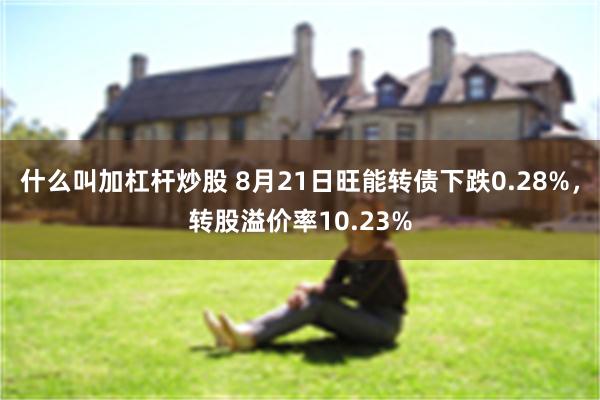 什么叫加杠杆炒股 8月21日旺能转债下跌0.28%，转股溢价率10.23%