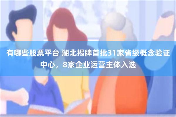 有哪些股票平台 湖北揭牌首批31家省级概念验证中心，8家企业运营主体入选