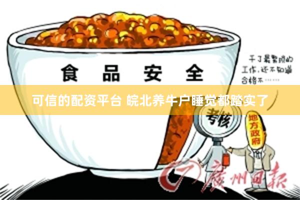 可信的配资平台 皖北养牛户睡觉都踏实了