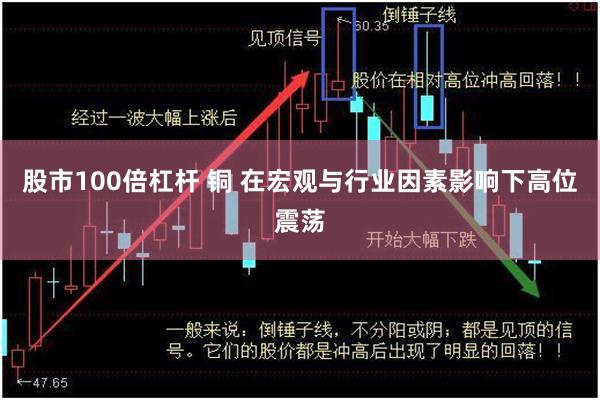 股市100倍杠杆 铜 在宏观与行业因素影响下高位震荡