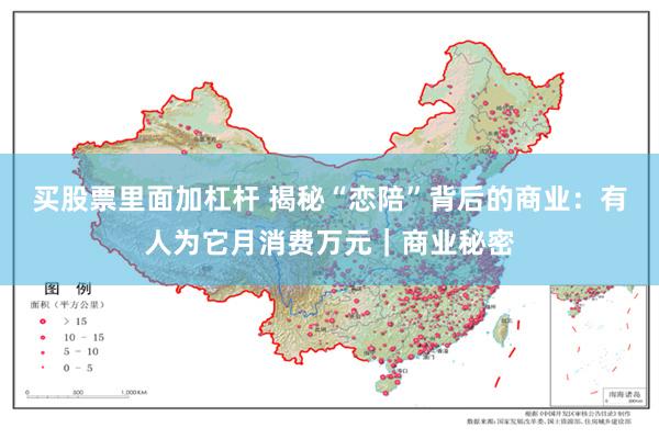 买股票里面加杠杆 揭秘“恋陪”背后的商业：有人为它月消费万元｜商业秘密