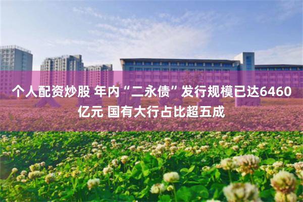 个人配资炒股 年内“二永债”发行规模已达6460亿元 国有大行占比超五成