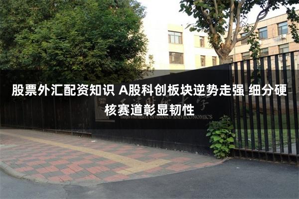 股票外汇配资知识 A股科创板块逆势走强 细分硬核赛道彰显韧性