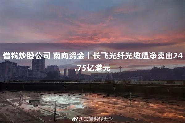 借钱炒股公司 南向资金丨长飞光纤光缆遭净卖出24.75亿港元