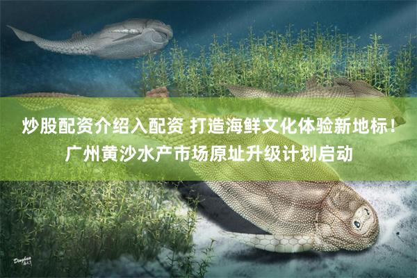 炒股配资介绍入配资 打造海鲜文化体验新地标！广州黄沙水产市场原址升级计划启动