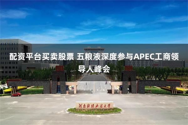 配资平台买卖股票 五粮液深度参与APEC工商领导人峰会