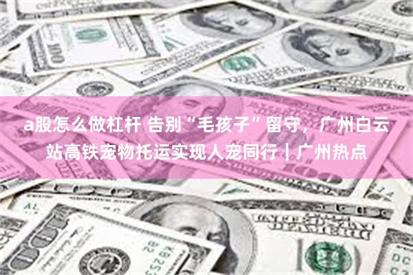 a股怎么做杠杆 告别“毛孩子”留守，广州白云站高铁宠物托运实现人宠同行｜广州热点