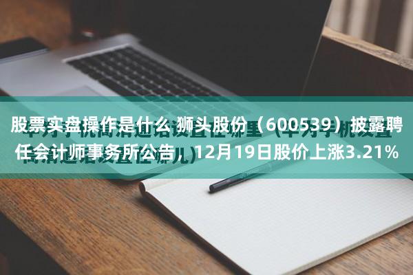 股票实盘操作是什么 狮头股份(600539)披露聘任会计师事务所公告,12月19日股价上涨3.21%