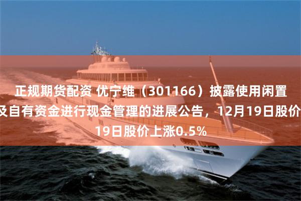 正规期货配资 优宁维(301166)披露使用闲置募集资金及自有资金进行现金管理的进展公告,12月19日股价上涨0.5%