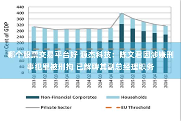 哪个股票交易平台好 源杰科技：陈文君因涉嫌刑事犯罪被刑拘 已解聘其副总经理职务