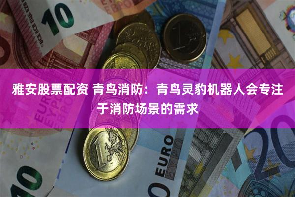 雅安股票配资 青鸟消防：青鸟灵豹机器人会专注于消防场景的需求