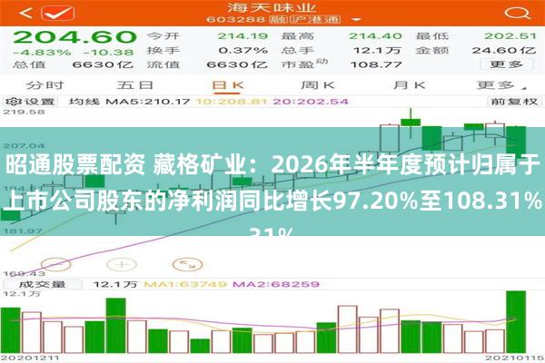 昭通股票配资 藏格矿业：2026年半年度预计归属于上市公司股东的净利润同比增长97.20%至108.31%