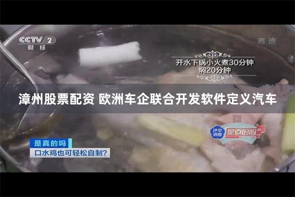漳州股票配资 欧洲车企联合开发软件定义汽车