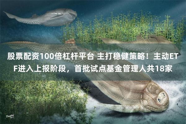 股票配资100倍杠杆平台 主打稳健策略!主动ETF进入上报阶段,首批试点基金管理人共18家