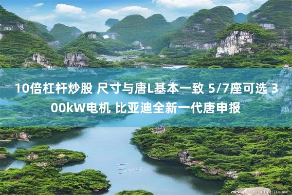 10倍杠杆炒股 尺寸与唐L基本一致 5/7座可选 300kW电机 比亚迪全新一代唐申报