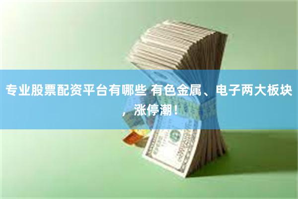 专业股票配资平台有哪些 有色金属、电子两大板块，涨停潮！