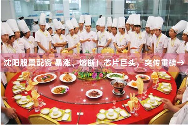 沈阳股票配资 暴涨、熔断！芯片巨头，突传重磅→