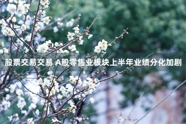 股票交易交易 A股零售业板块上半年业绩分化加剧
