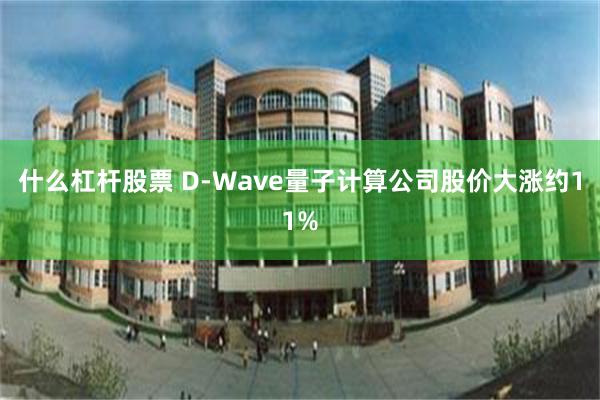 什么杠杆股票 D-Wave量子计算公司股价大涨约11%