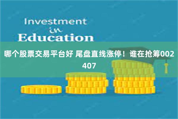 哪个股票交易平台好 尾盘直线涨停！谁在抢筹002407