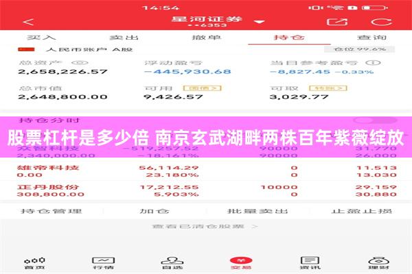 股票杠杆是多少倍 南京玄武湖畔两株百年紫薇绽放