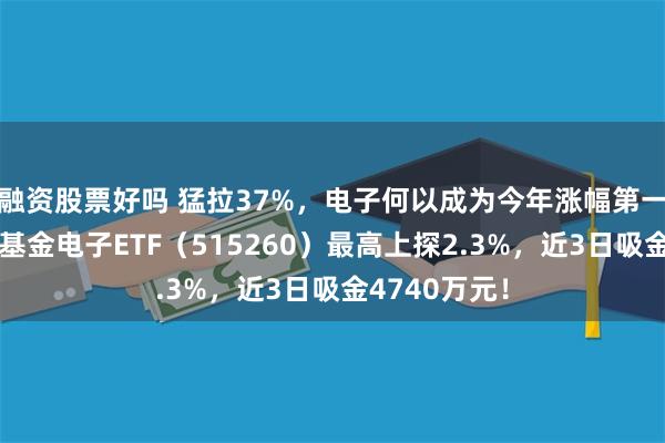 融资股票好吗 猛拉37%，电子何以成为今年涨幅第一行业？华宝基金电子ETF（515260）最高上探2.3%，近3日吸金4740万元！