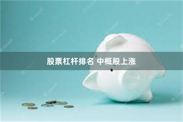 股票杠杆排名 中概股上涨