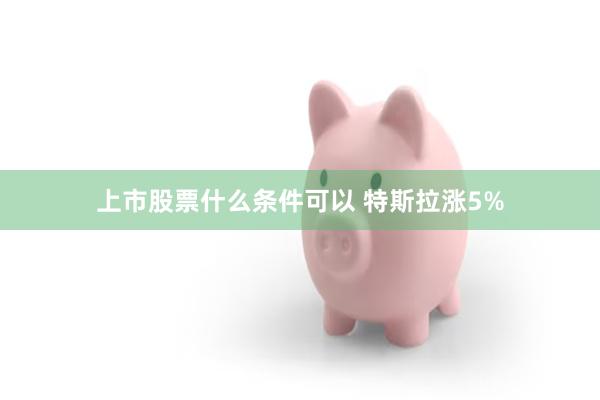 上市股票什么条件可以 特斯拉涨5%