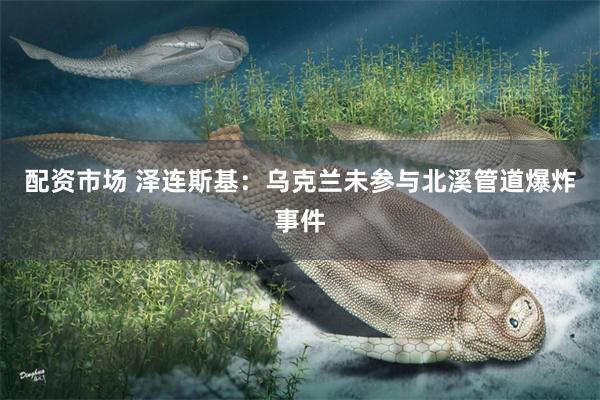 配资市场 泽连斯基:乌克兰未参与北溪管道爆炸事件