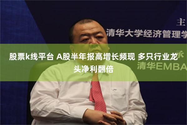 股票k线平台 A股半年报高增长频现 多只行业龙头净利翻倍