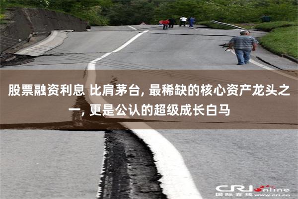 股票融资利息 比肩茅台, 最稀缺的核心资产龙头之一, 更是公认的超级成长白马