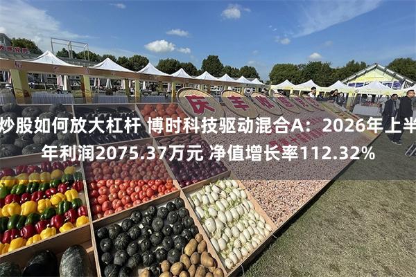 炒股如何放大杠杆 博时科技驱动混合A：2026年上半年利润2075.37万元 净值增长率112.32%